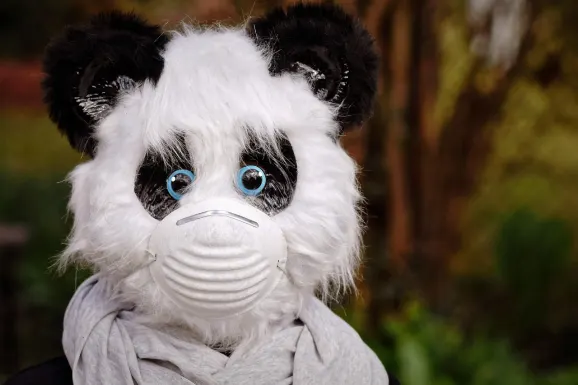 SlotsWin Kasino Tuki